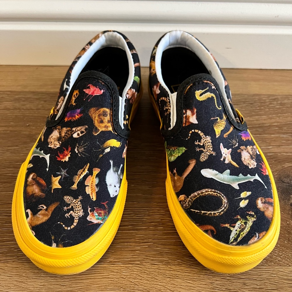 Super cute kids NatGeo Vans!